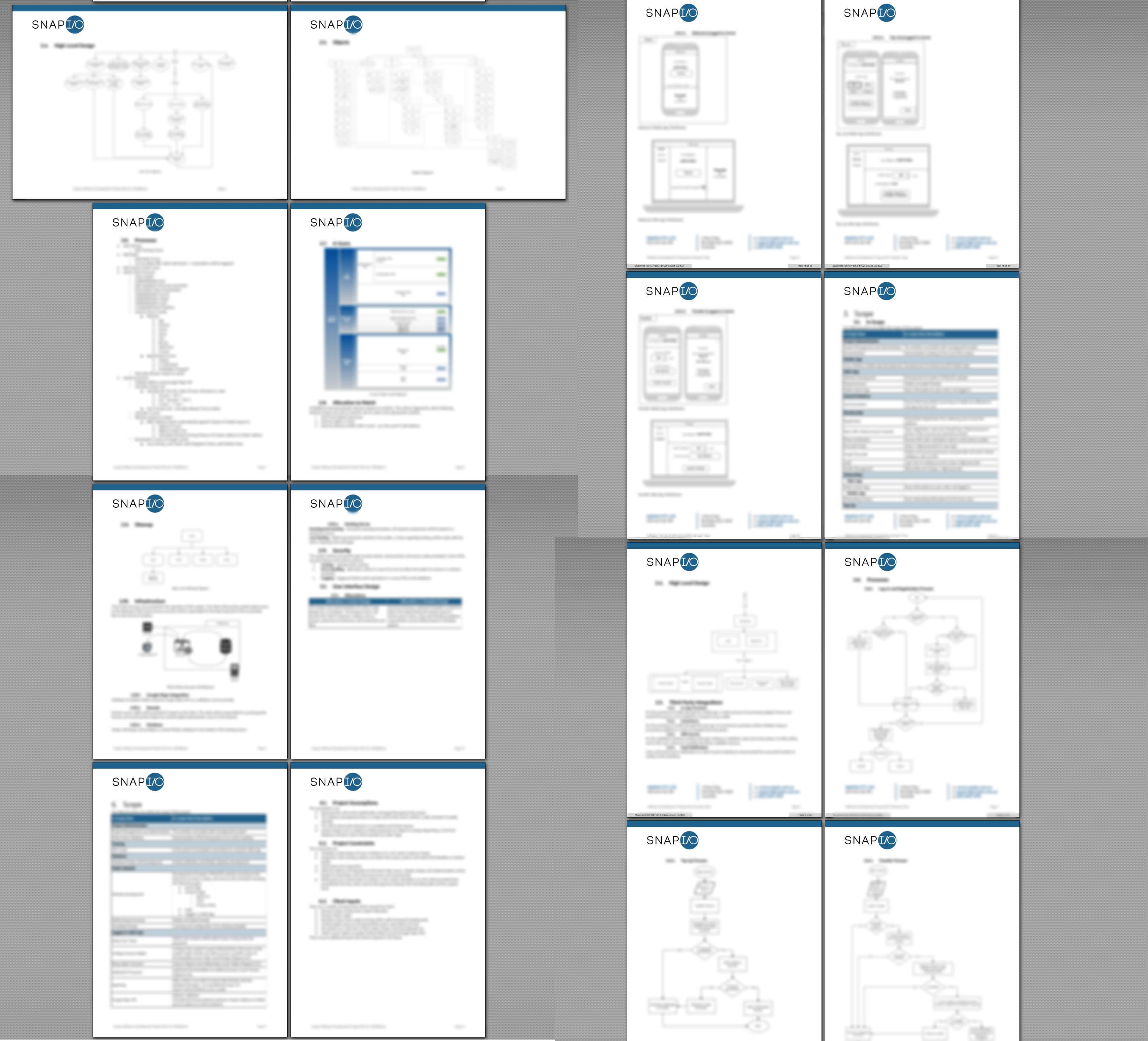 Snapio Sample Project Plan